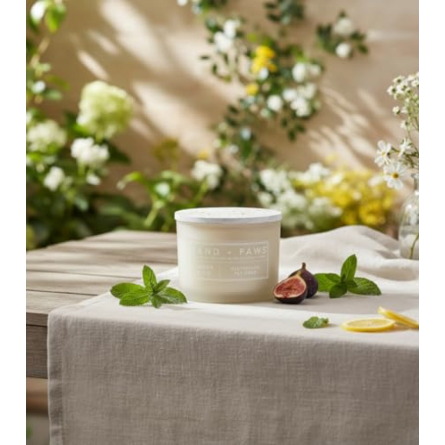 Home fragrance candles for pet - Home Fragrance Fig review and price