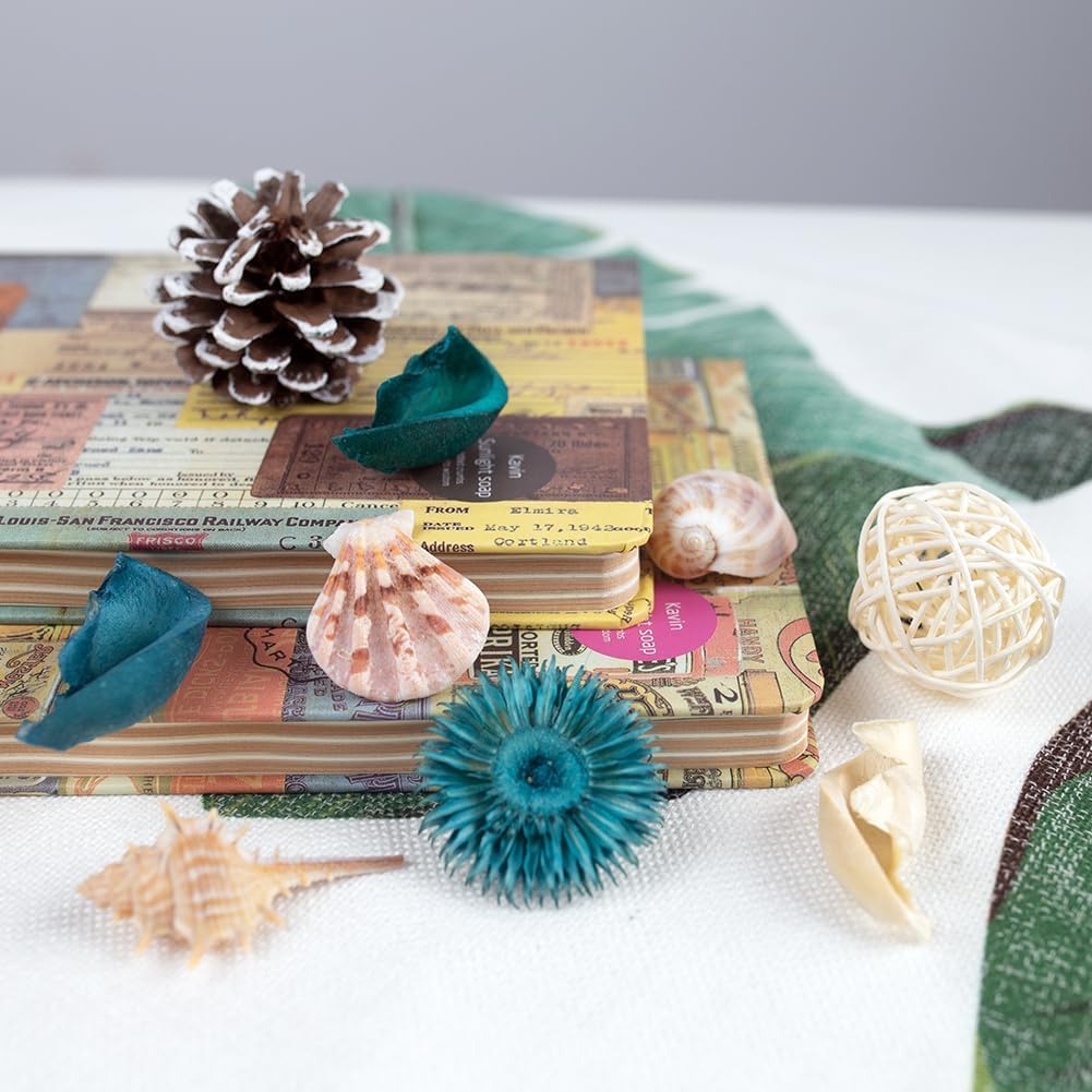 Sea Shell Potpourri Bag Ocean  - Home Fragrance Ocean Breeze review and price